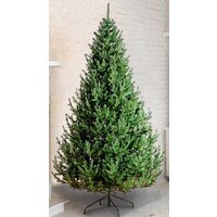 GreenTerra Элоди 1.8 м