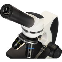 Levenhuk Discovery Pico Polar с книгой 77977 Image #10