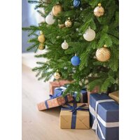 Уральская ёлка и игрушка Европейская (180см) Image #8