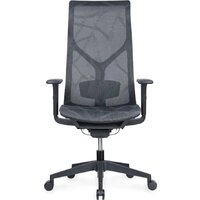 SitZone CH-283A-P1 (сетка, черный) Image #2