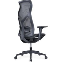 SitZone CH-283A-P1 (сетка, черный) Image #3