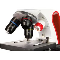 Levenhuk Discovery Pico Terra с книгой 77974 Image #12