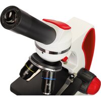 Levenhuk Discovery Pico Terra с книгой 77974 Image #10