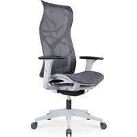 SitZone CH-283A-HS-P1 (сетка, серый)