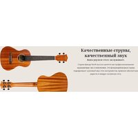 Flight Antonia TE Image #5