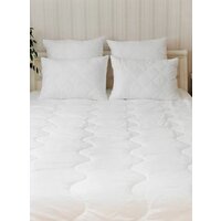 Файбертек Э.ЛП.2.06 205x150 (лебяжий пух) Image #4