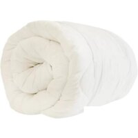 Файбертек Э.ЛП.2.06 205x150 (лебяжий пух)