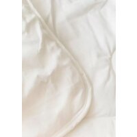 Файбертек Э.ЛП.2.06 205x150 (лебяжий пух) Image #3