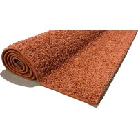 Moldabela Shaggy Geko Прямоугольник 1039 1 30933 (1.6x2.3) Image #6