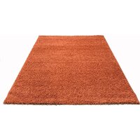 Moldabela Shaggy Geko Прямоугольник 1039 1 30933 (1.6x2.3) Image #2