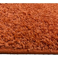 Moldabela Shaggy Geko Прямоугольник 1039 1 30933 (1.6x2.3) Image #3