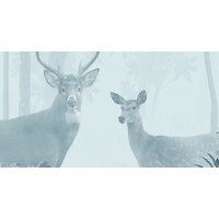ФабрикаФресок Олени в Лесу 945270 (500x270) Image #2