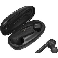 Evolution BH501 Image #11