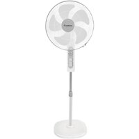 Lexical LSF-7006-8