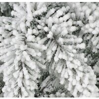 Dommelochi Аврора 2.2 м Image #2