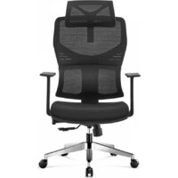 SitUp Craft chrome (сетка black/black) Image #2