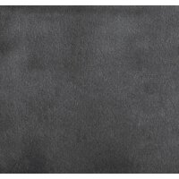 ДСВ Президент (графит софт) Image #2