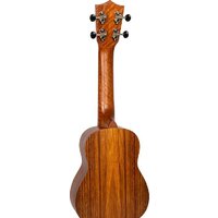 Flight NUS200 NA Image #2