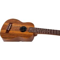 Flight NUS200 NA Image #3