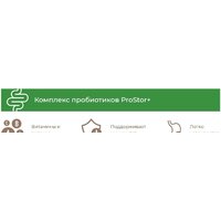 Sirius Для взрослых собак малых пород. Говядина и рис 10 кг Image #2