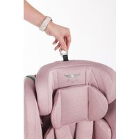 Martin Noir Discovery I-Size (pink pegasus) Image #6