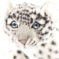 Hansa Сreation Барс снежный 4261 (42 см) Image #11