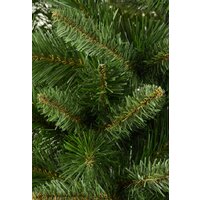 Erbis Анна 1.5 м Image #2