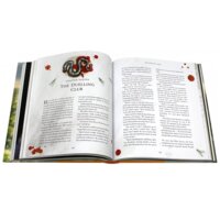 Bloomsbury. Harry Potter and the Chamber of Secrets HB Illustr", Rowling J.K. Image #7