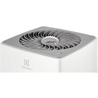 Electrolux EAP-1040D Yin&Yang Image #5