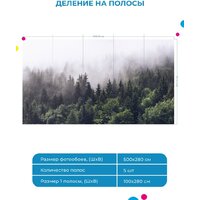 ФабрикаФресок Туманный лес 195280 (500x280) Image #5