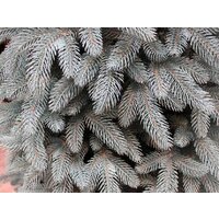 Смерека-Плюс Премиум СМ-19ПГ 1.9 м Image #2