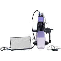 Magus Bio VD300 LCD 83013 Image #5