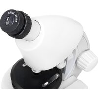 Levenhuk Discovery Micro Polar с книгой 77952 Image #11