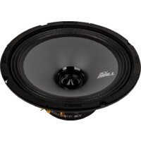 ACV DR8 Drall Image #3