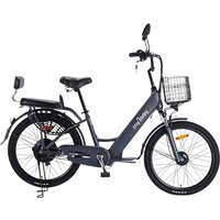 MyWay Truck 500 24 (графит)