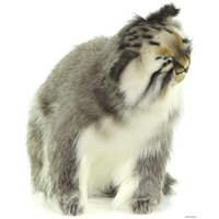 Hansa Сreation Манул сидящий 7169 (42 см) Image #8