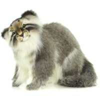 Hansa Сreation Манул сидящий 7169 (42 см)