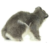 Hansa Сreation Манул сидящий 7169 (42 см) Image #6