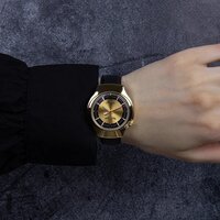 Луч 78307250 Image #5