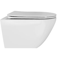 White Wave Meridian Tornado Flush (белый глянец) Image #2