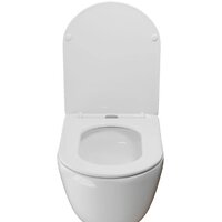 White Wave Meridian Tornado Flush (белый глянец) Image #5