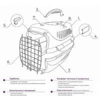 ZooExpress Турне 18311 (L, голубой) Image #12