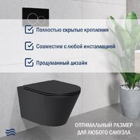 Lauter Longer 2110822 + 21901002 (кнопка узкая, черный/черный) Image #8