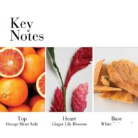 Elizabeth Arden White Tea Ginger Lily EdT (100 мл) Image #4