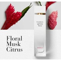 Elizabeth Arden White Tea Ginger Lily EdT (100 мл) Image #3