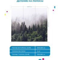 ФабрикаФресок Туманный лес 193280 (300x280) Image #4