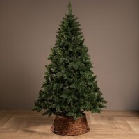 Ёлушка Невская ЕНЕВ 18 (1.8м) Image #2