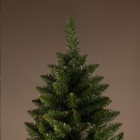 Ёлушка Невская ЕНЕВ 18 (1.8м) Image #3