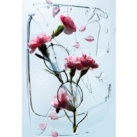 Эксмо. Легендарные фотографии, изменившие мир (Джакоза Маргарита/Моттаделли Роберто/Морелли Джанни) Image #9