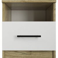 Евва Престиж ПР-1.1 (дуб кантри золотой/белый) Image #13